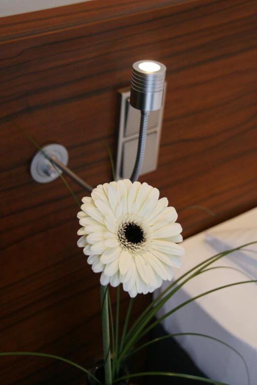 Augusten Hotel München - 2