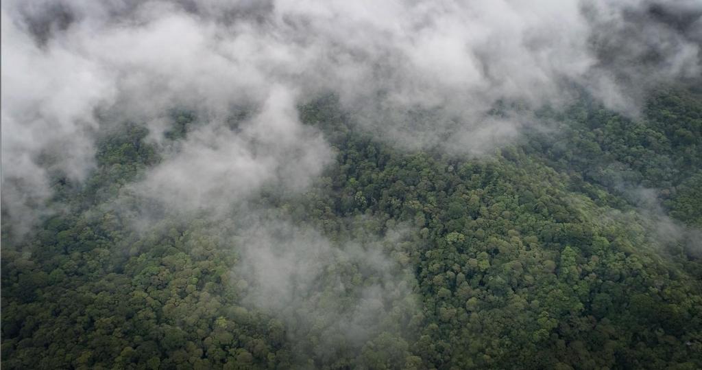 Surrounding environment