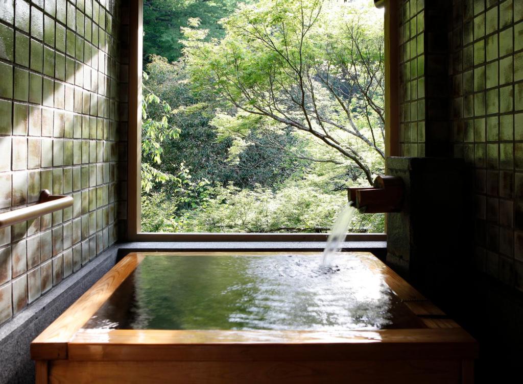 Hot spring bath