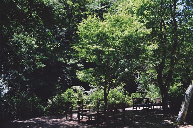 Surrounding environment