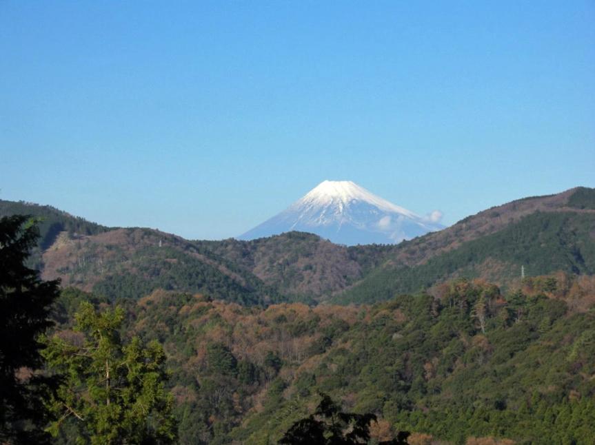 Surrounding environment