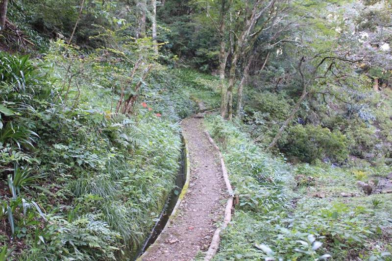 Surrounding environment