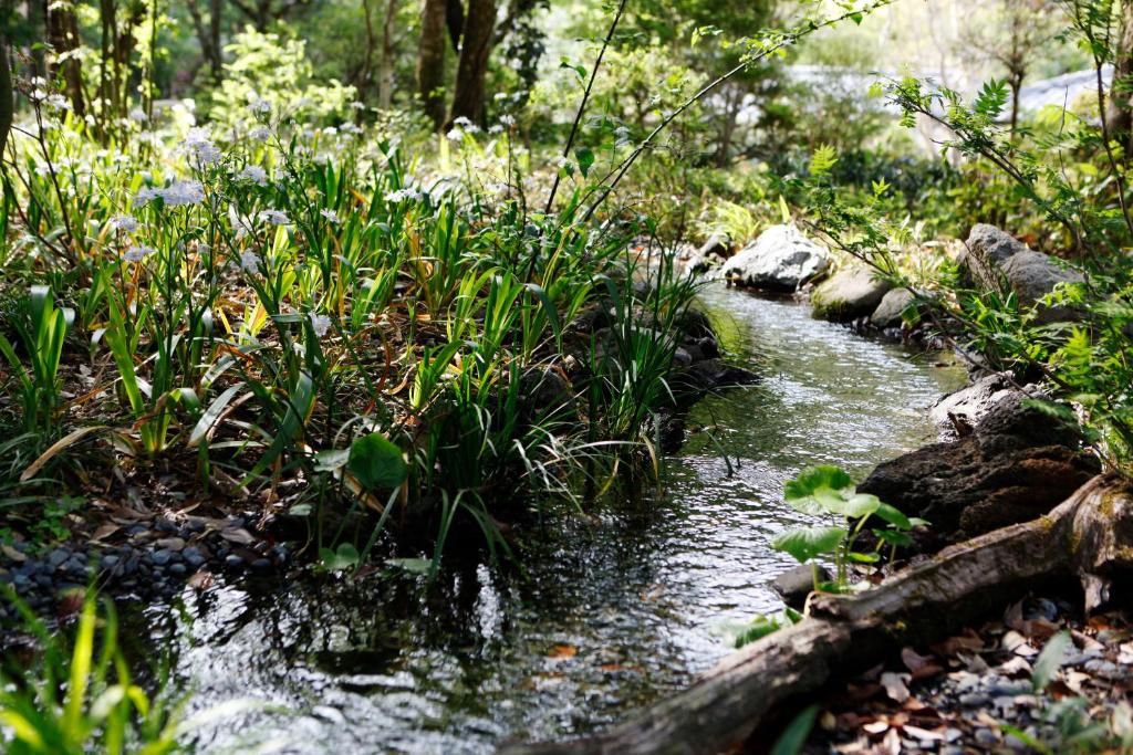 Surrounding environment