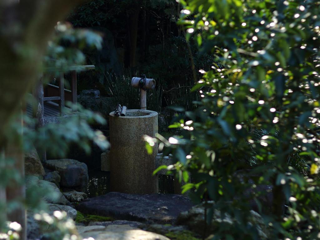 Surrounding environment