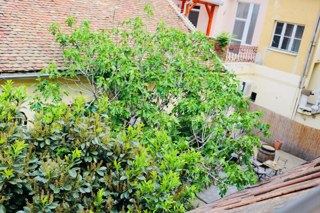 Rozmaring Apartman Pecs photo