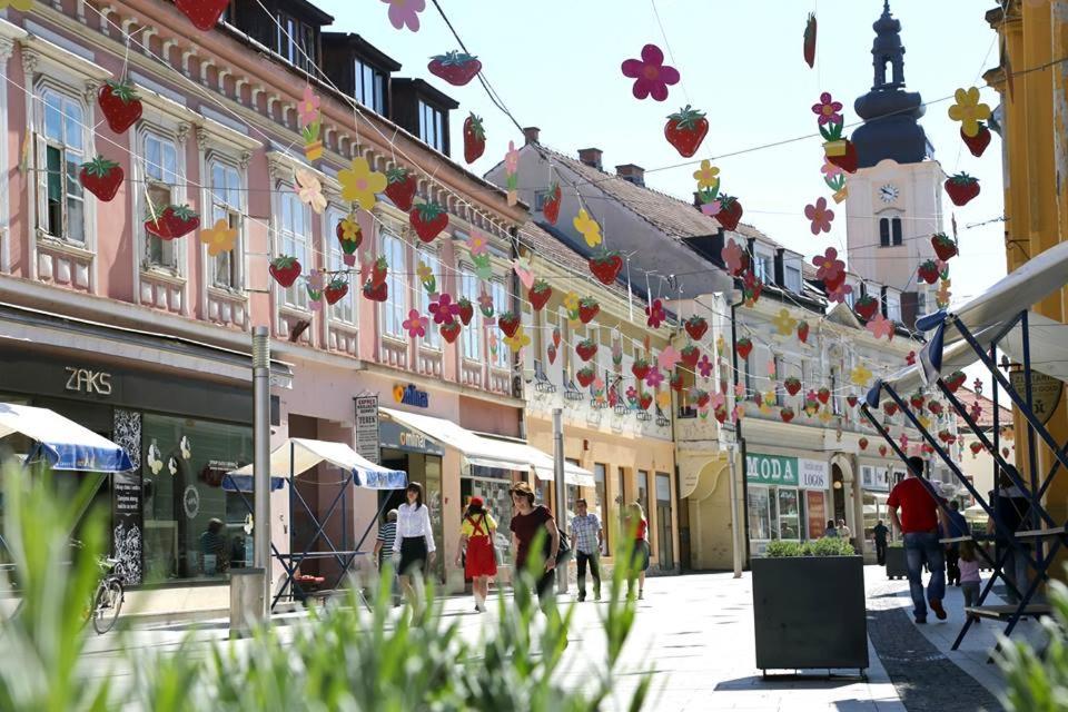 Center Apartment Cakovec photo