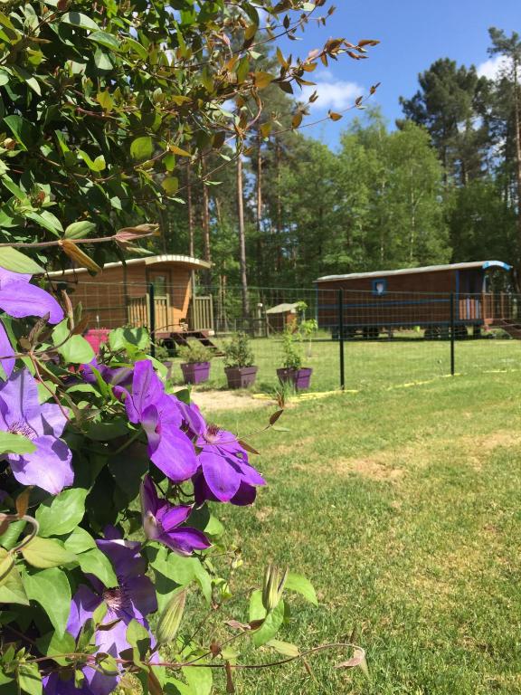 Roulottes du Chalet des Pins