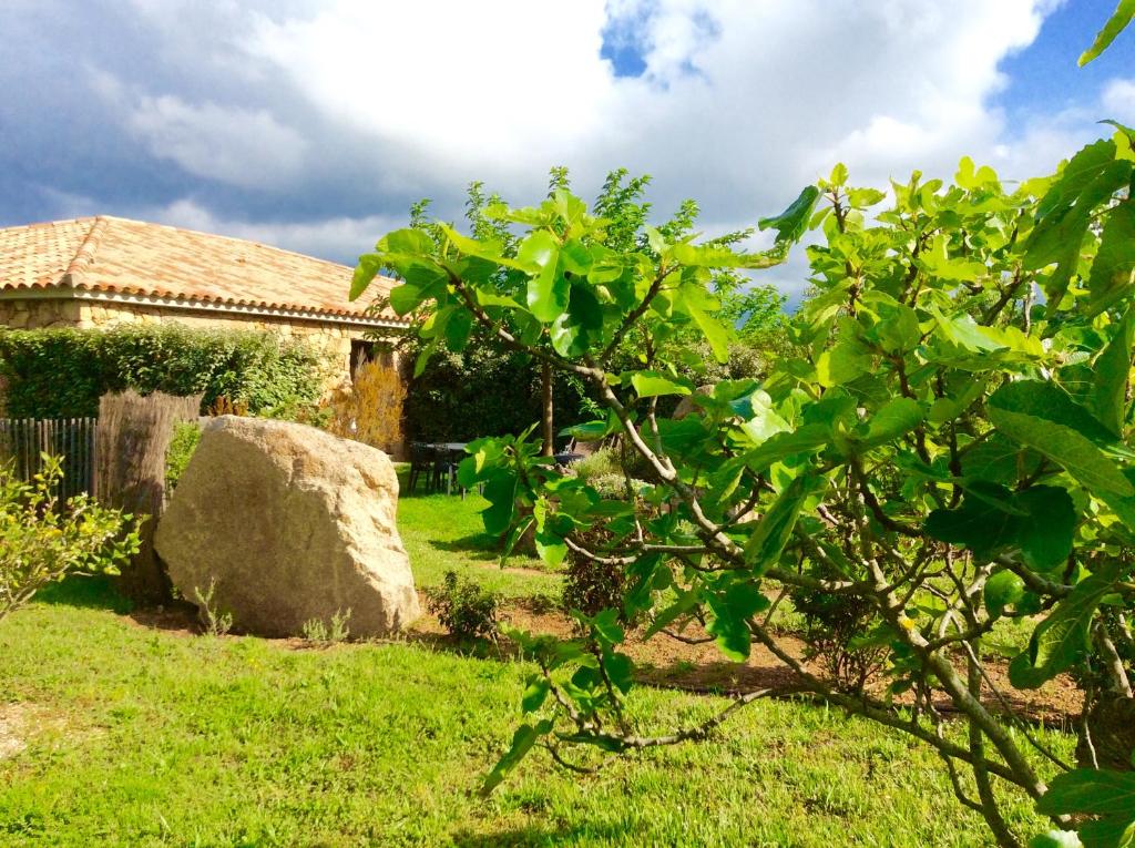 Clos Simoni photo