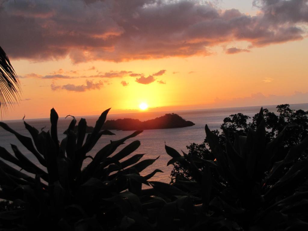 GîTE MAYO & HYLODES'S SONG, Bouillante