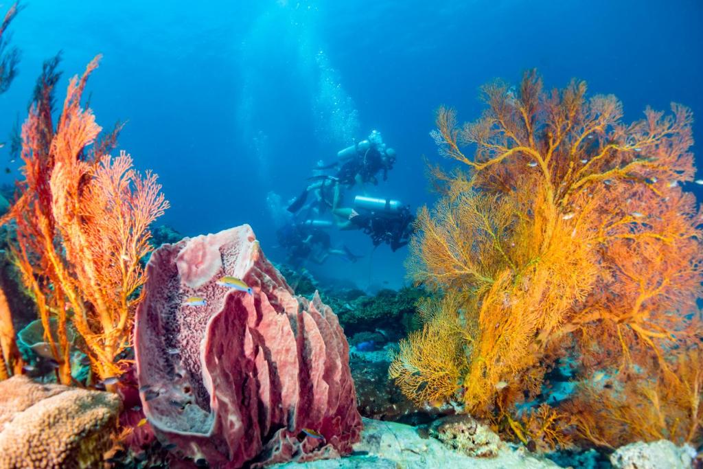 Sports and activities