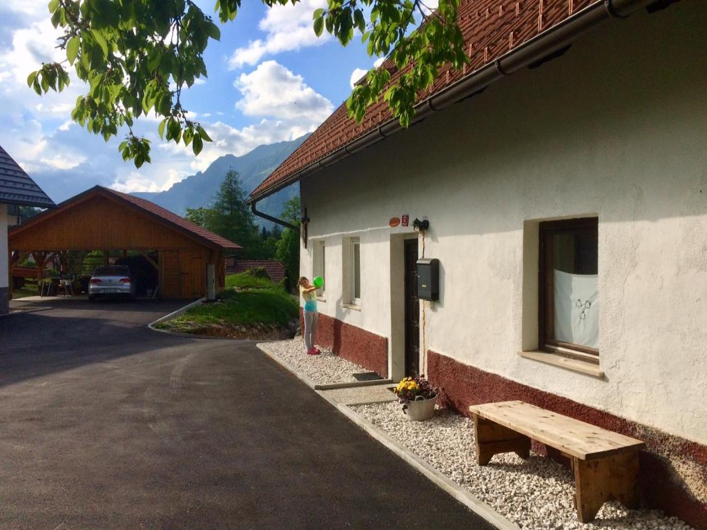 Apartma Stenar photo