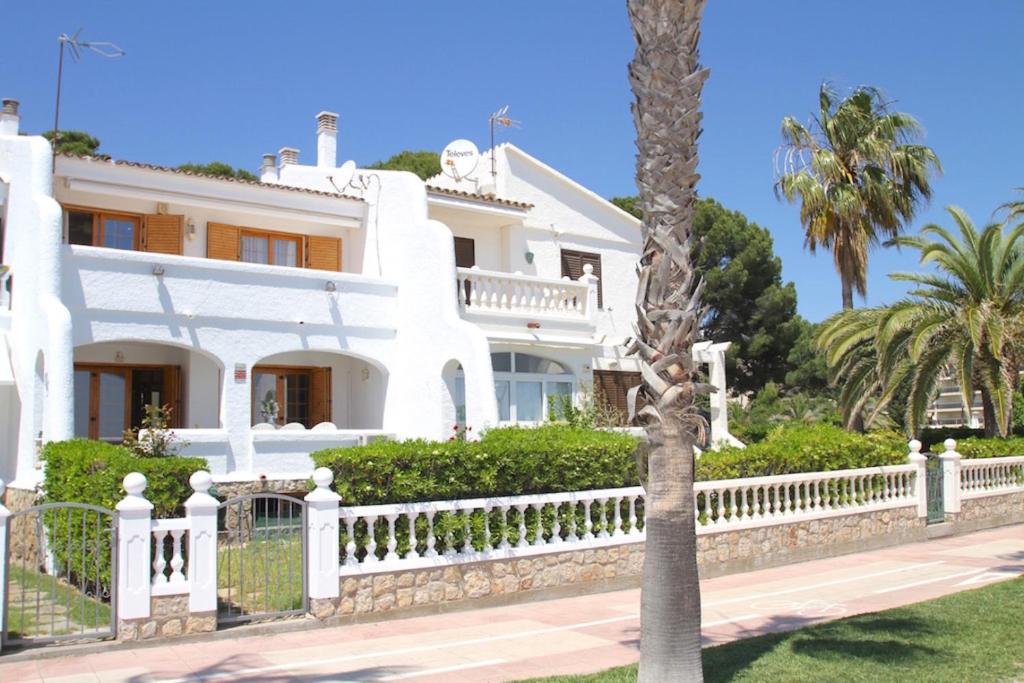 Arenda Casablanca Pino Alto - 2