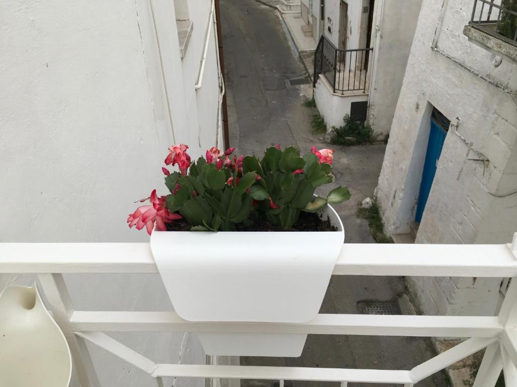 Casa Carlotta - 5