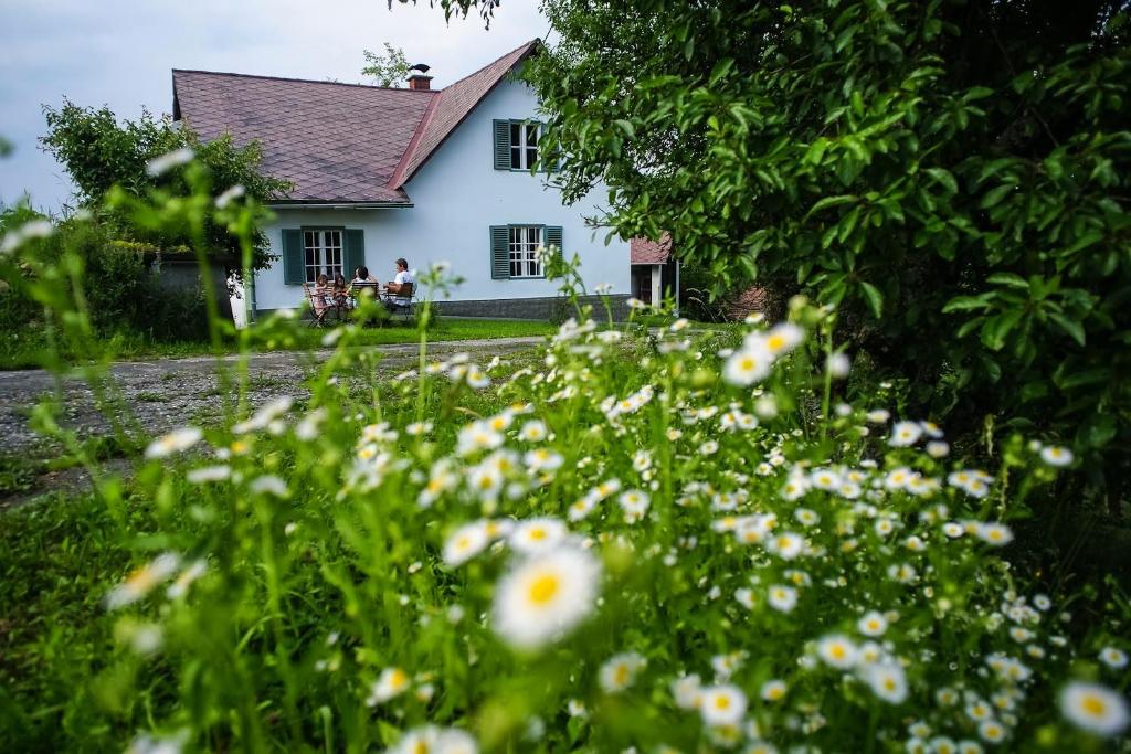 Ferienhaus Vogeljager - 5