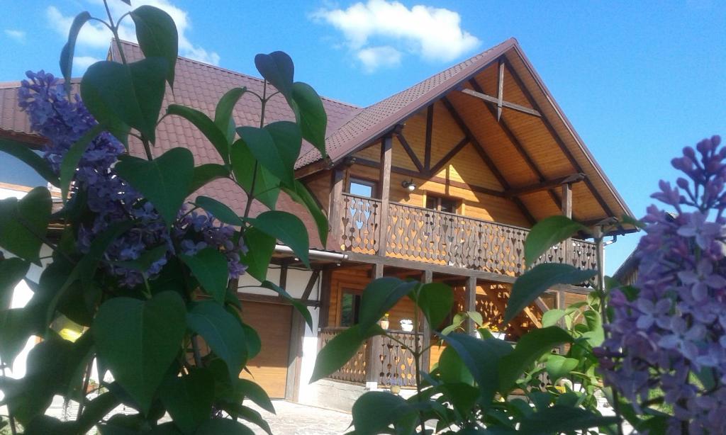Cottage Palitra — Hotel in Yablunytsya