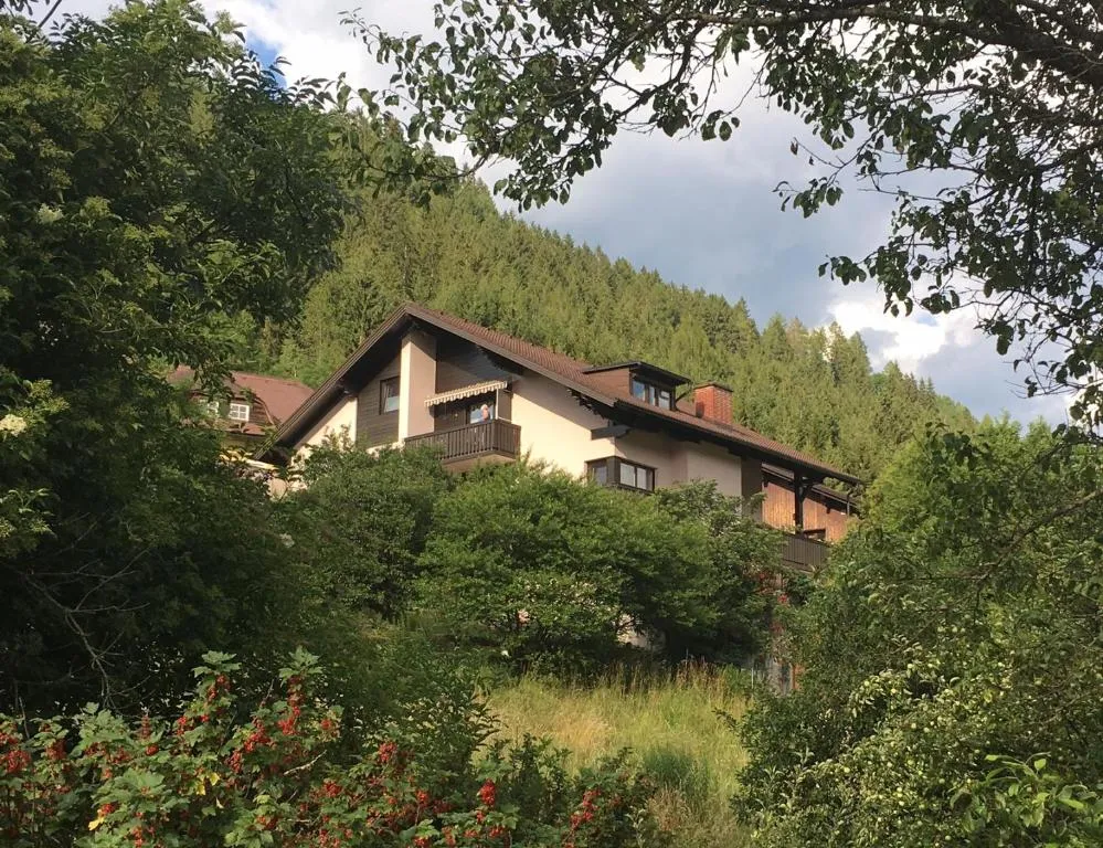 Haus Agnes, Murau, hotel in Murau