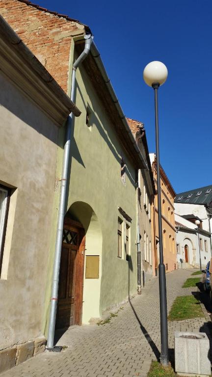 Zeleni domcurik photo