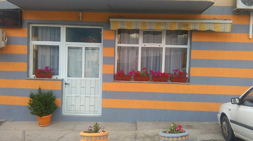 Guest house "Aylin" photo