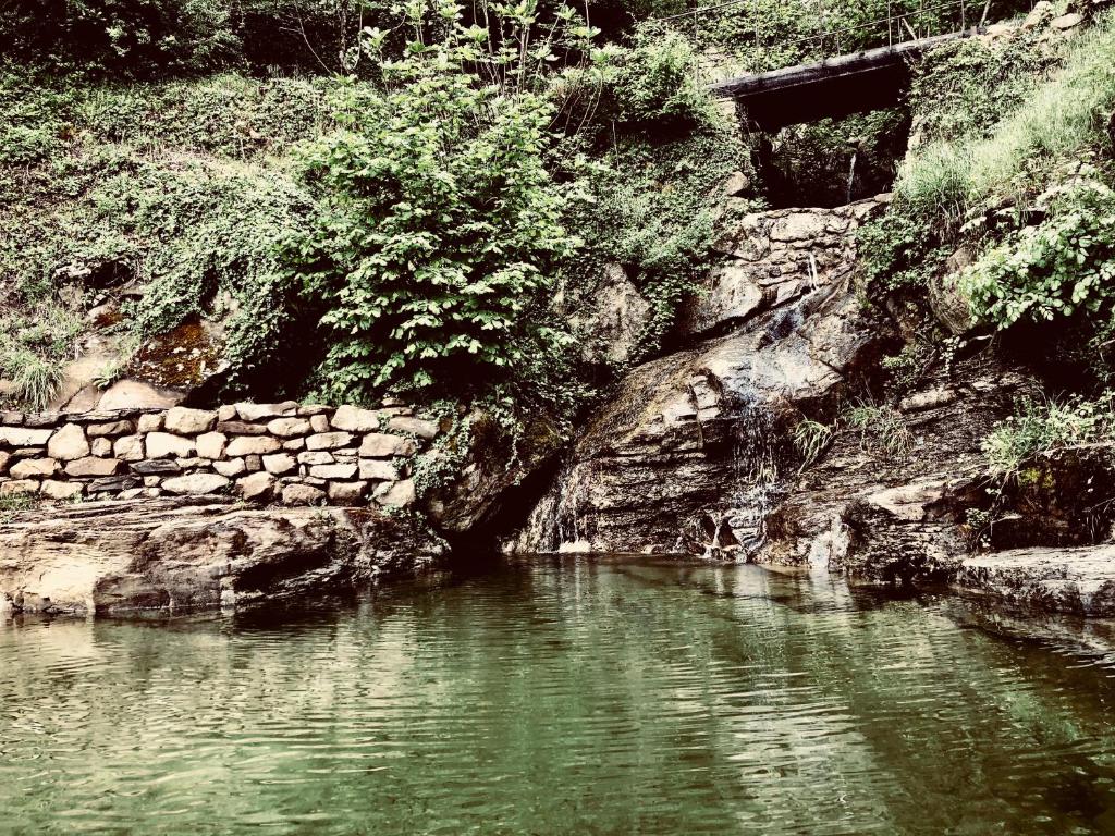 PIPPO'S LITTLE RESORT/2 photo