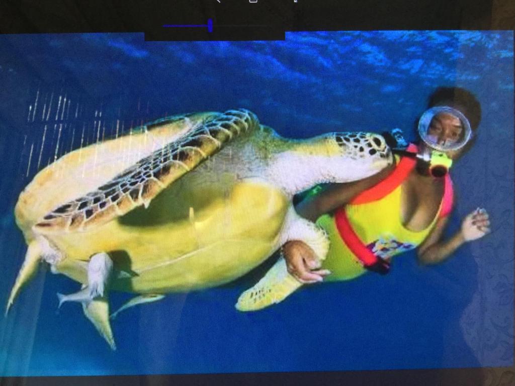 Sports and activities