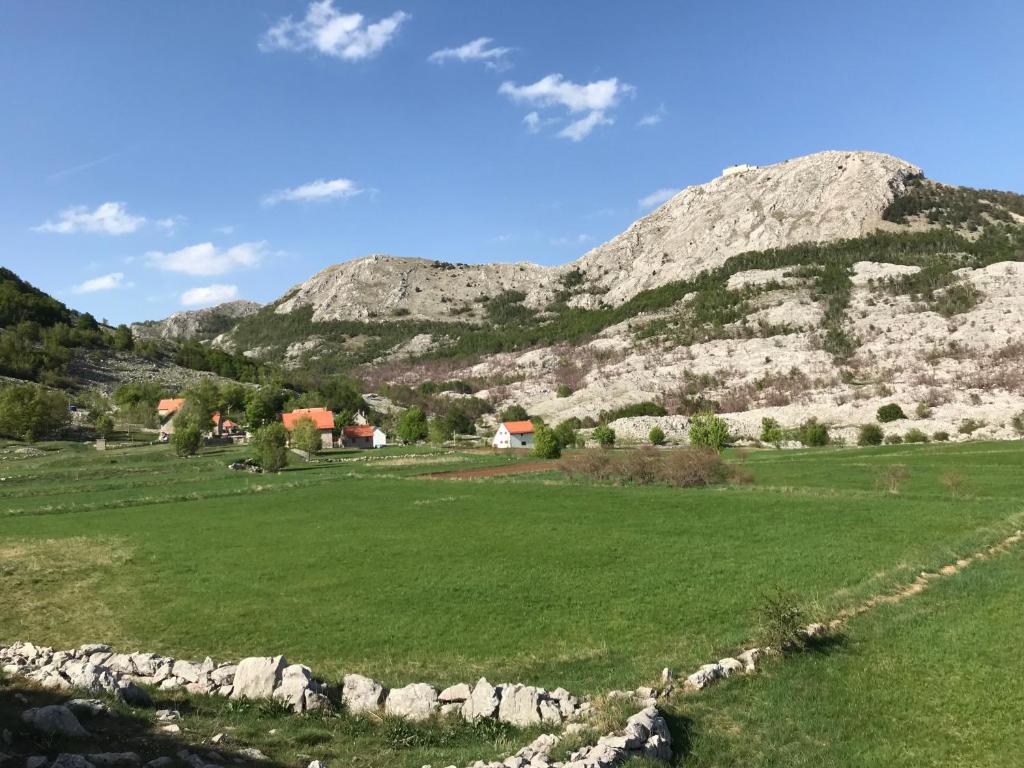 Lovcen Holiday Home photo