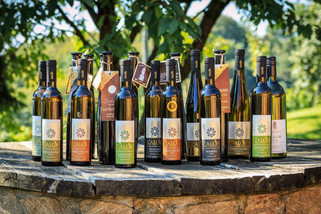 Wine House Kaloh 7