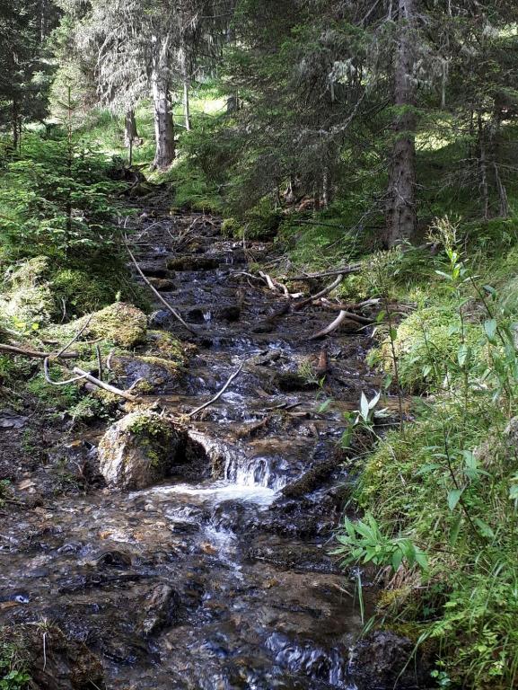 Sports and activities