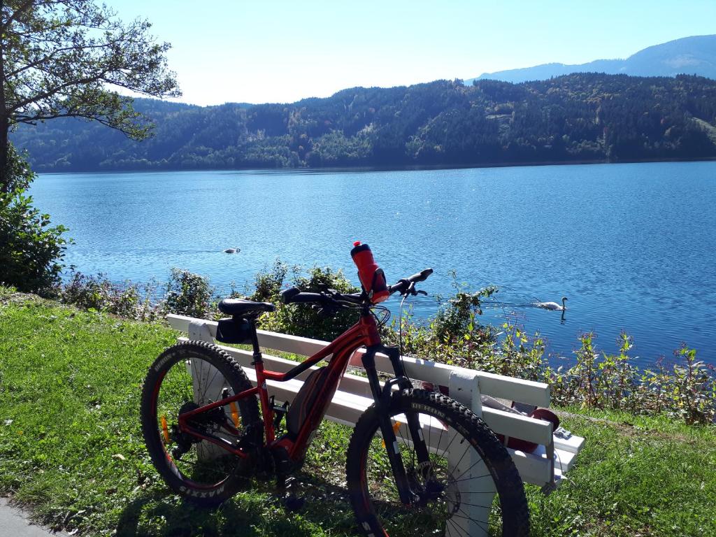 Sports and activities