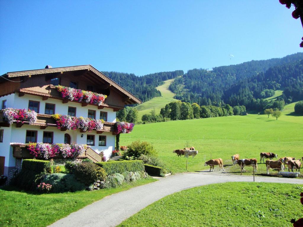 Sixenhof - 4