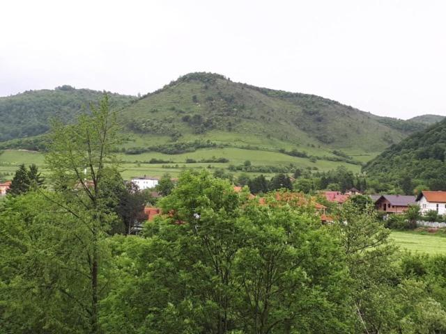 Apartmani Tajra photo