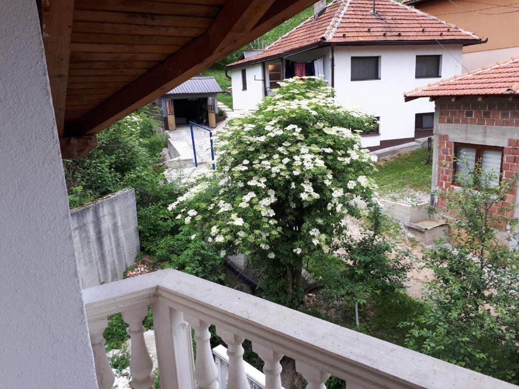 Apartmani Tajra photo