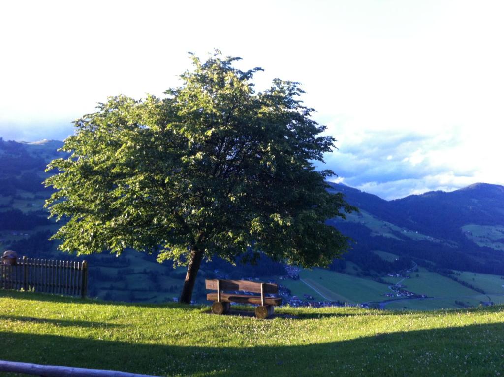 Apartmenthaus Brixen & Haus Central photo