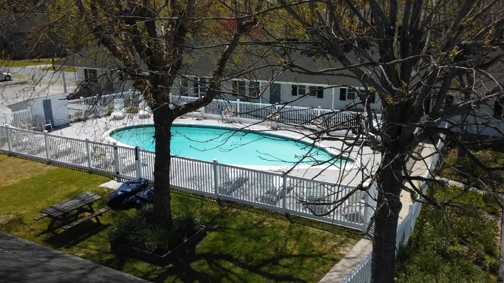 Sea Shell Motel photo