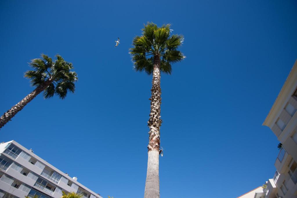Le Parc Pointe Croisette - 4