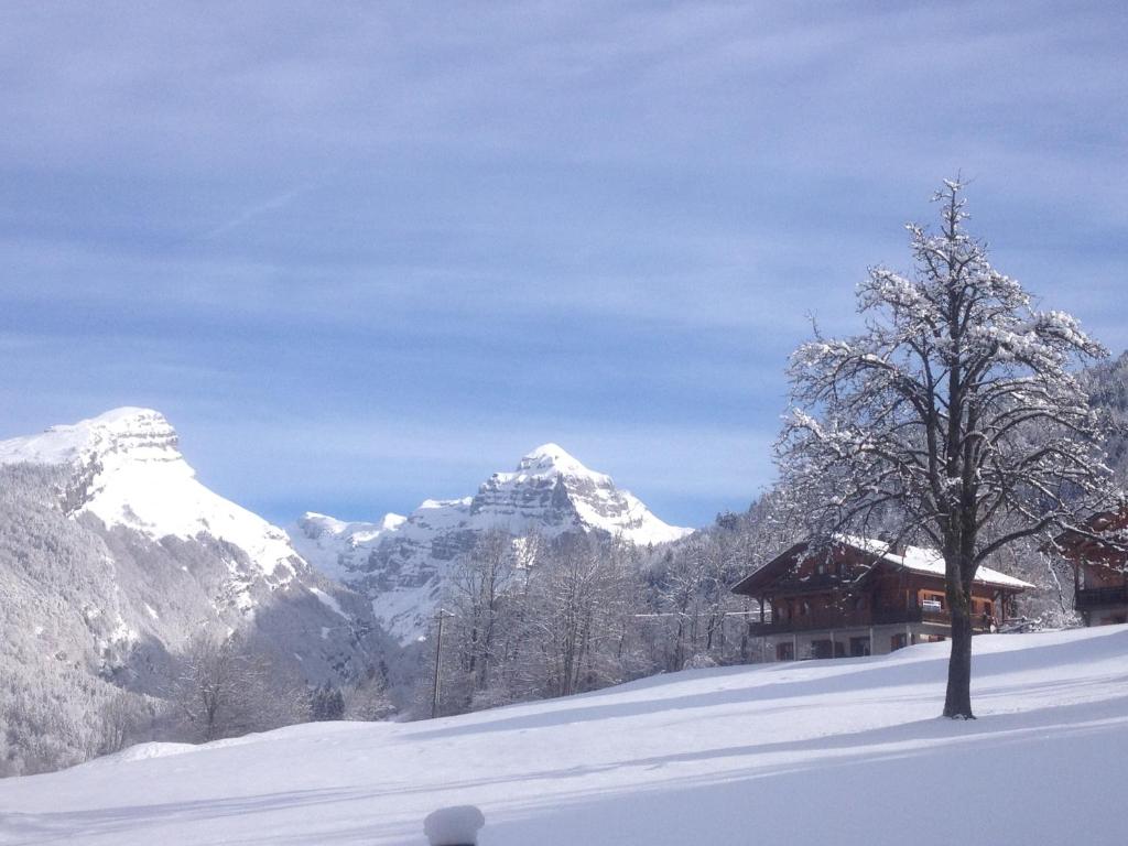 Chalet des Cascades - 4