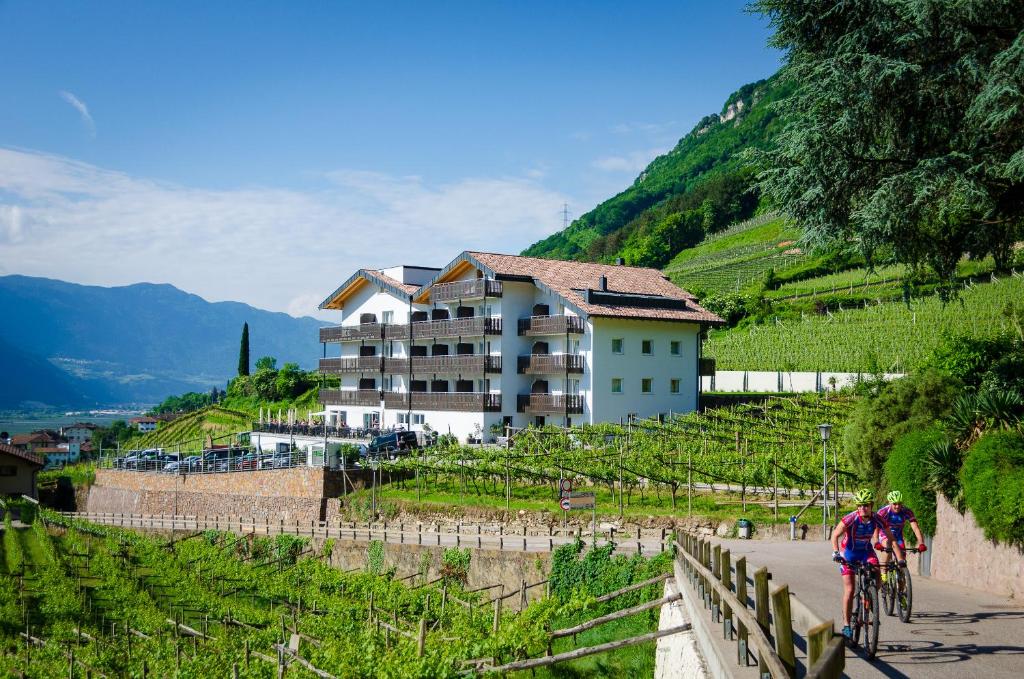 Vineus Tramin - 2
