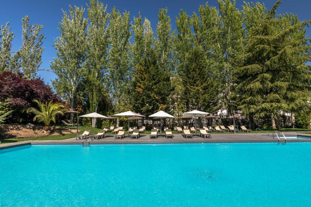 スイミングプール