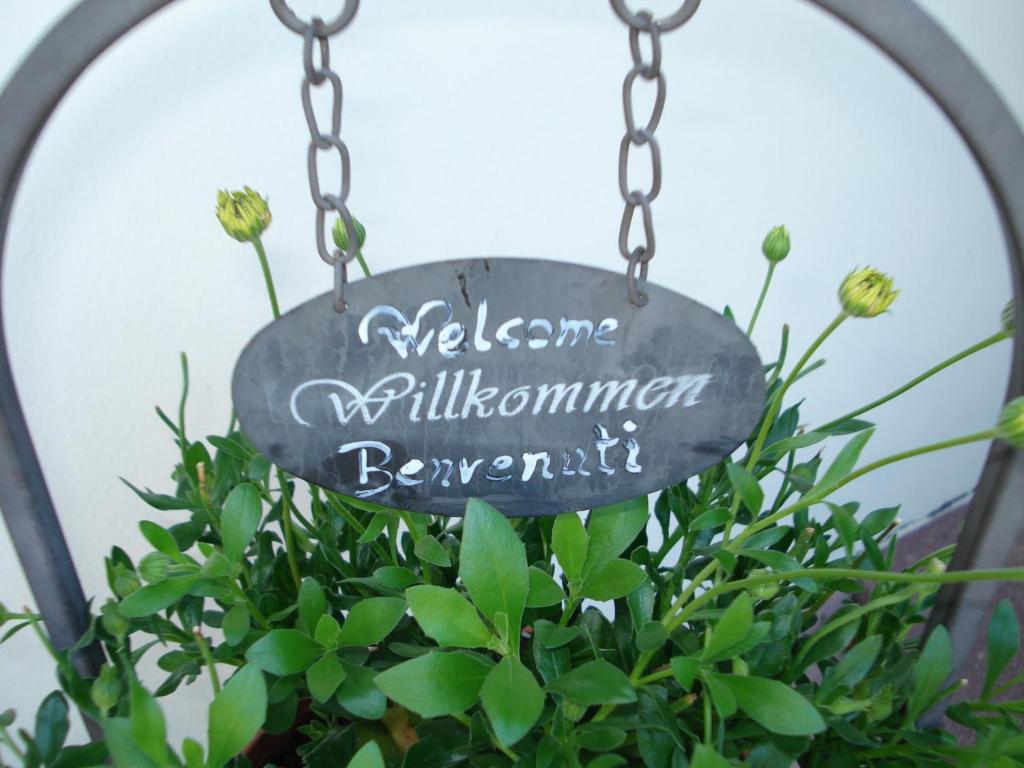 Feldererhof - 4