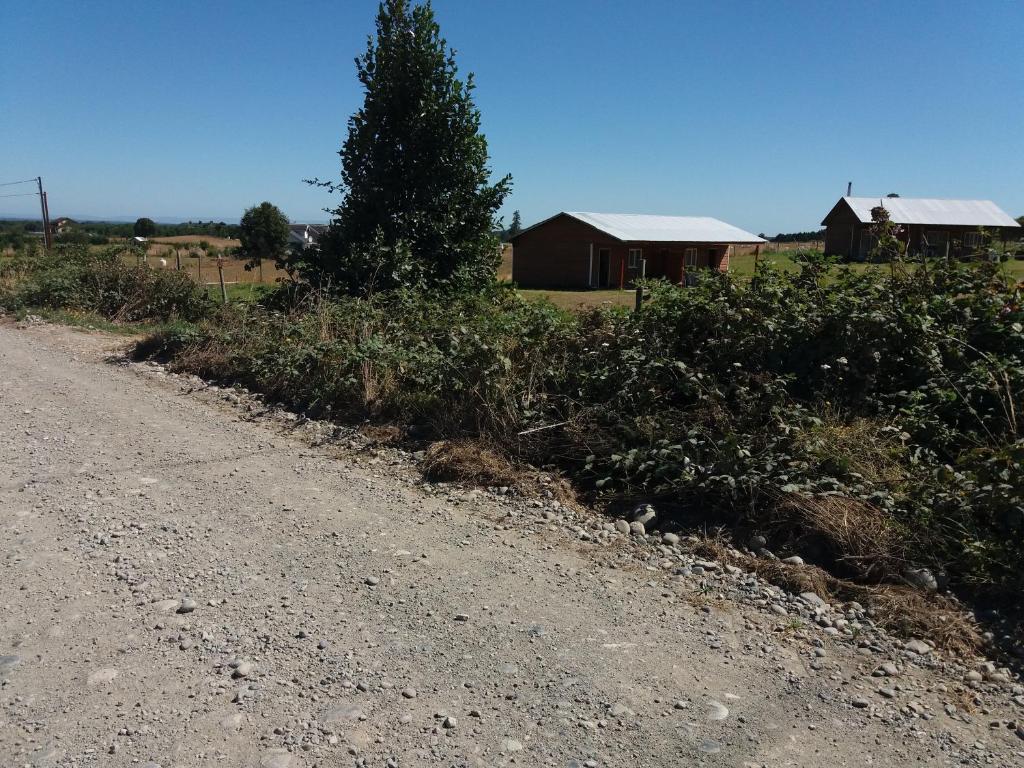 Cabañas M y M Frutillar - 4