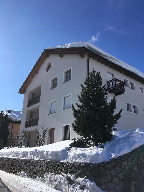 Palüdetta 8 - 5