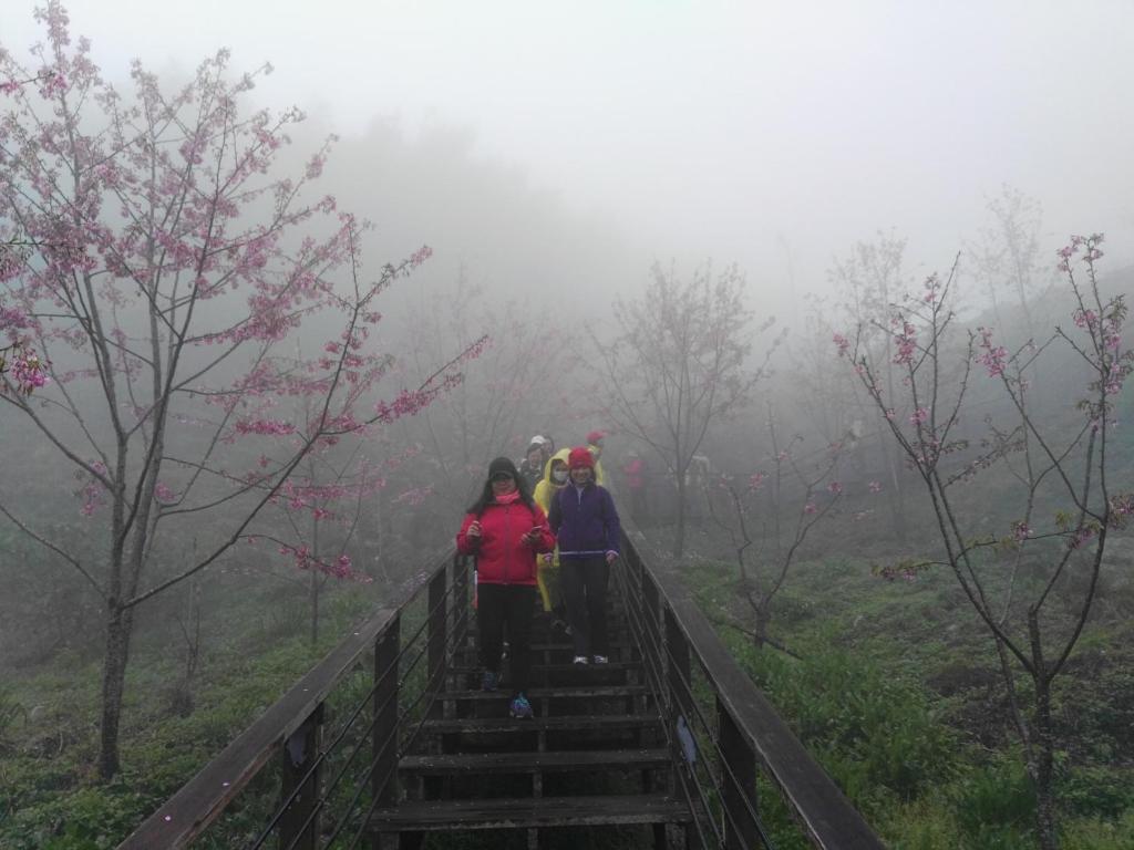 Qun Feng Hotel photo
