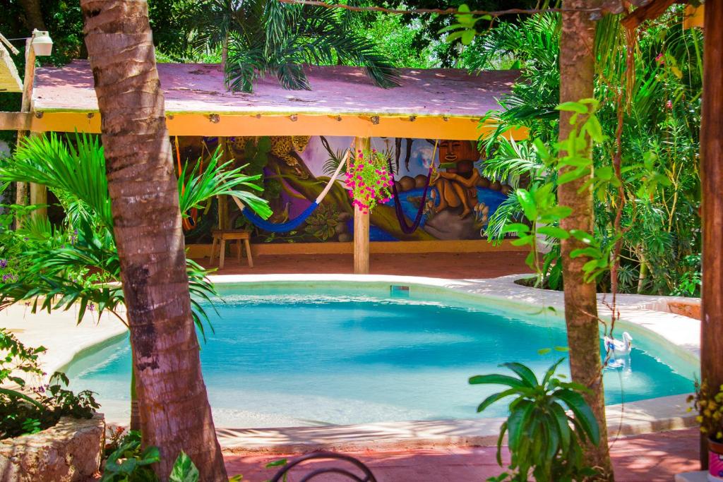 Casa De Los Pajaros - B&B photo