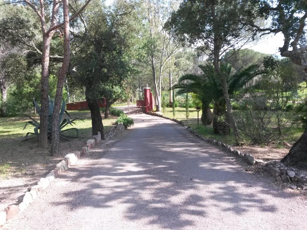Les Mayombes - 4