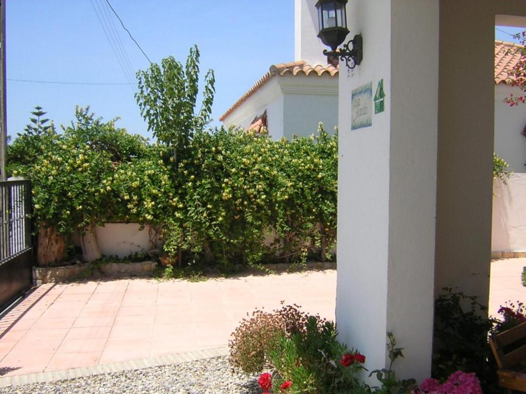 Casa Algaida photo