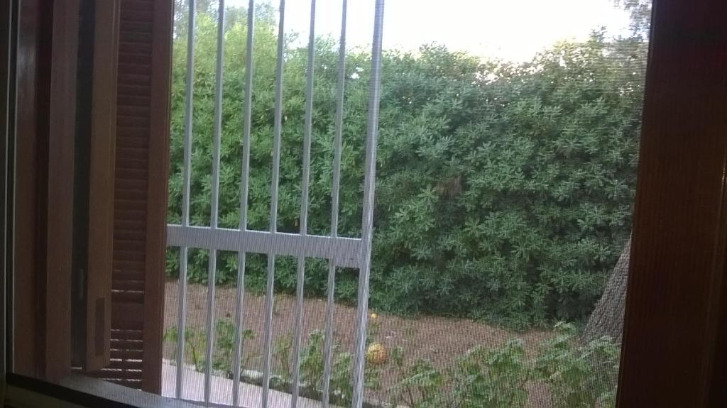 Villa Brigida photo