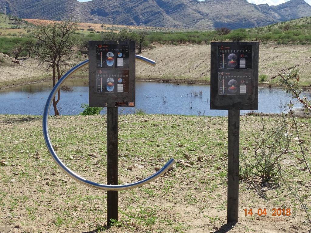 アクティビティ