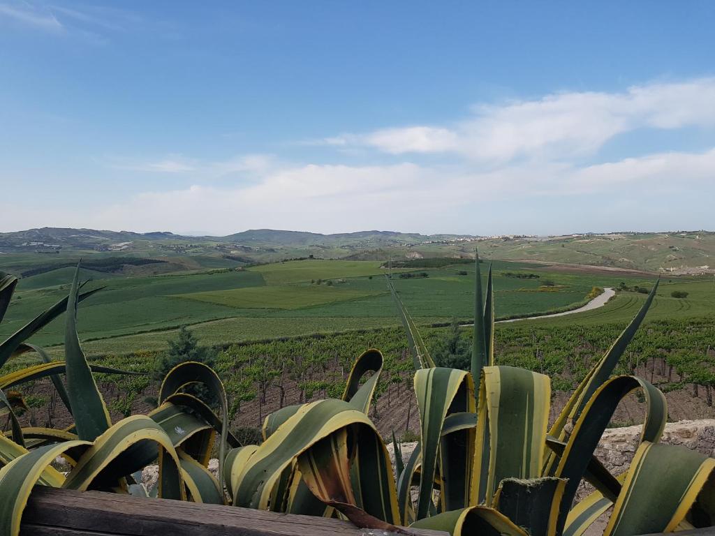 Contrada Gibbesi