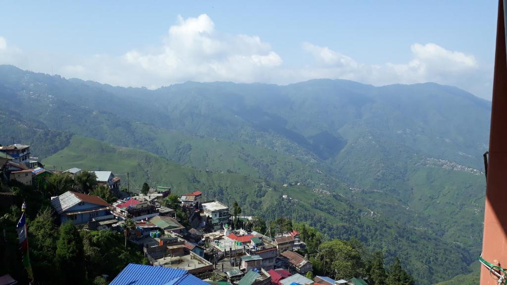 View