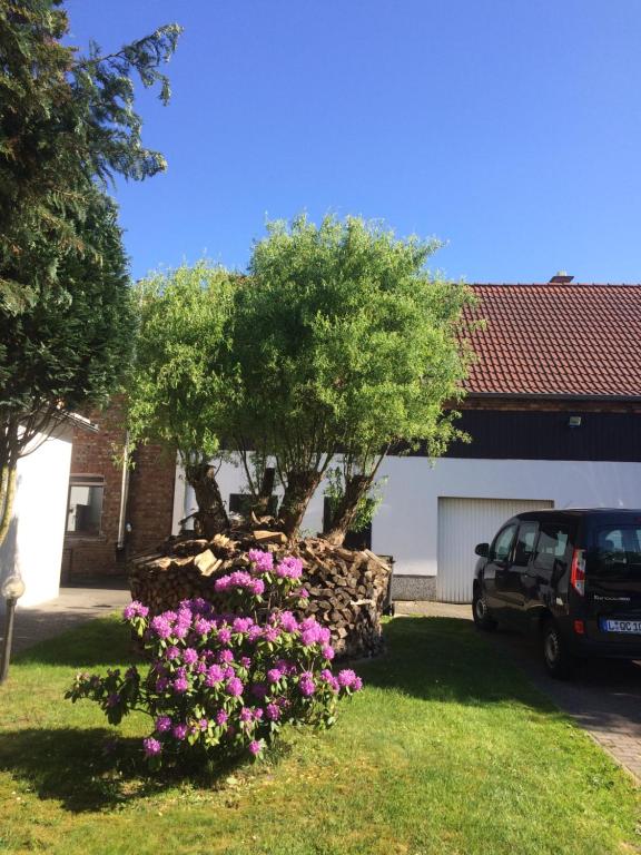 Pension Zum alten Gasthaus Hansel photo