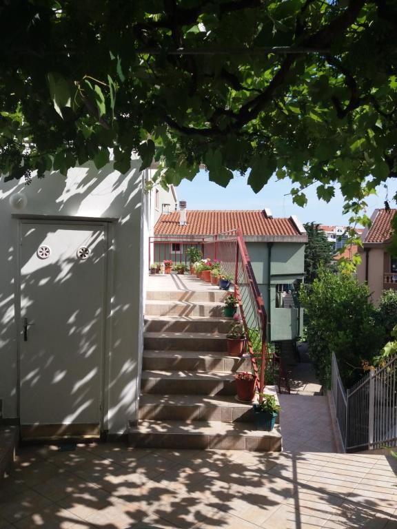 Apartments MM Budva photo